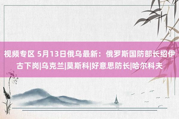 视频专区 5月13日俄乌最新：俄罗斯国防部长绍伊古下岗|乌克兰|莫斯科|好意思防长|哈尔科夫