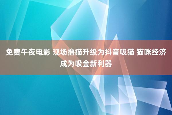 免费午夜电影 现场撸猫升级为抖音吸猫 猫咪经济成为吸金新利器